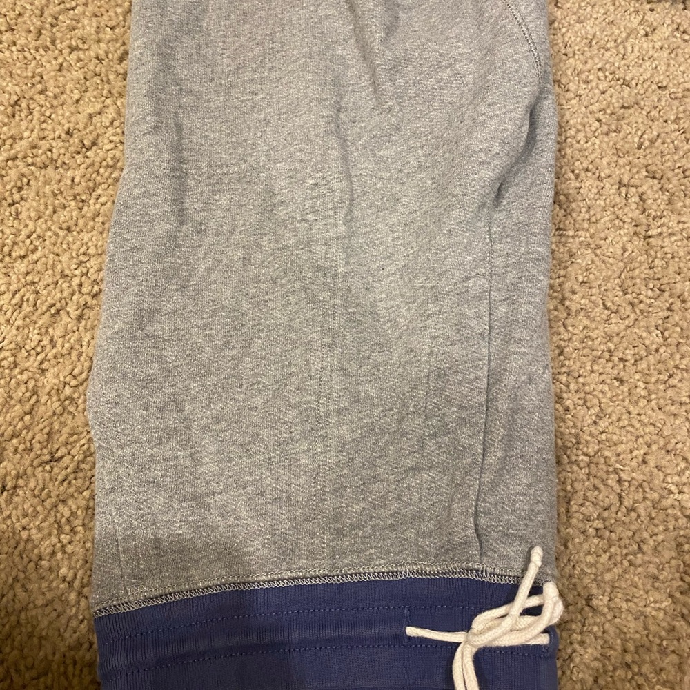 Large Jcrew Knit Shorts